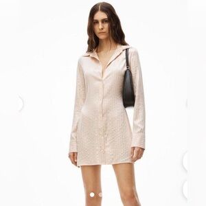 ALEXANDER WANG
Slim Shirt Dress With Crystal Hotfix In cream size S